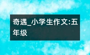 奇遇_小學(xué)生作文:五年級
