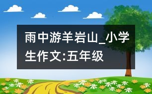 雨中游羊巖山_小學(xué)生作文:五年級(jí)