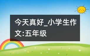 今天真好_小學生作文:五年級