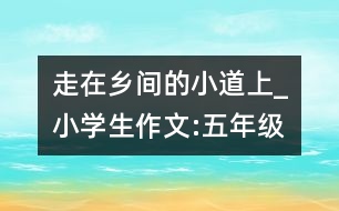 走在鄉(xiāng)間的小道上_小學(xué)生作文:五年級