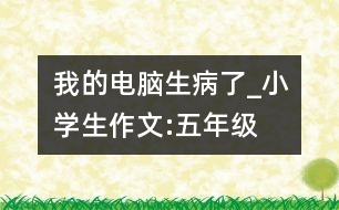 我的電腦生病了_小學(xué)生作文:五年級