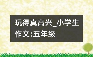 玩得真高興_小學(xué)生作文:五年級