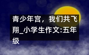 青少年宮，我們共飛翔_小學(xué)生作文:五年級