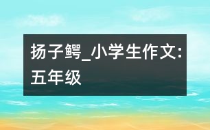 揚(yáng)子鱷_小學(xué)生作文:五年級(jí)