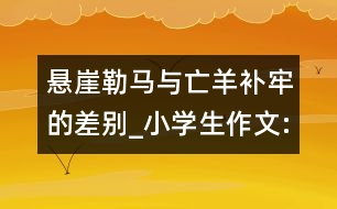 懸崖勒馬與亡羊補(bǔ)牢的差別_小學(xué)生作文:五年級(jí)