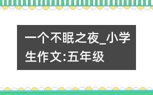 一個不眠之夜_小學生作文:五年級