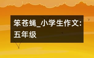 笨蒼蠅_小學(xué)生作文:五年級(jí)
