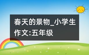 春天的景物_小學生作文:五年級