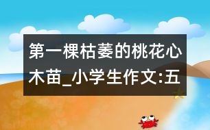 第一棵枯萎的桃花心木苗_小學生作文:五年級