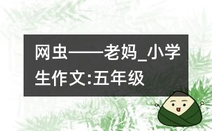 “網(wǎng)蟲(chóng)”――老媽_小學(xué)生作文:五年級(jí)