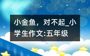 小金魚，對不起_小學(xué)生作文:五年級