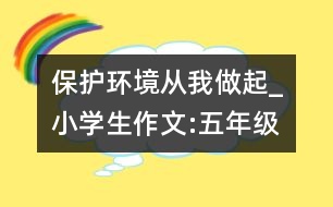 保護(hù)環(huán)境,從我做起_小學(xué)生作文:五年級