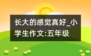 長(zhǎng)大的感覺(jué)真好_小學(xué)生作文:五年級(jí)