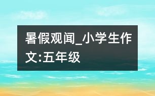 暑假觀聞_小學(xué)生作文:五年級