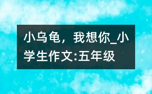 小烏龜，我想你_小學(xué)生作文:五年級