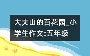 大夫山的百花園_小學(xué)生作文:五年級