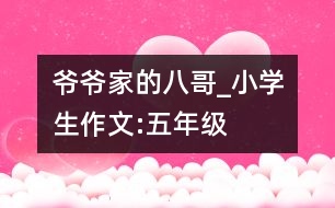 爺爺家的八哥_小學生作文:五年級