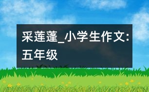 采蓮蓬_小學(xué)生作文:五年級
