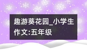 趣游葵花園_小學(xué)生作文:五年級(jí)