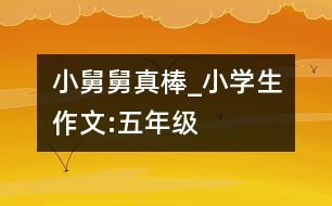小舅舅真棒_小學(xué)生作文:五年級
