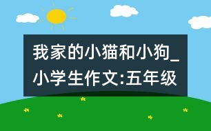 我家的小貓和小狗_小學(xué)生作文:五年級(jí)