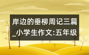 岸邊的垂柳（周記三篇）_小學(xué)生作文:五年級(jí)