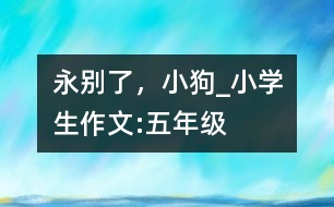 永別了，小狗_小學(xué)生作文:五年級