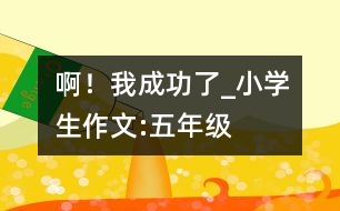 ??！我成功了_小學(xué)生作文:五年級(jí)