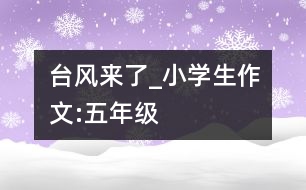 臺風來了_小學生作文:五年級