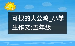 可恨的大公雞_小學生作文:五年級