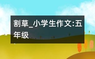 割草_小學生作文:五年級