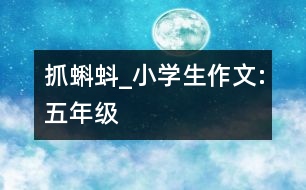抓蝌蚪_小學(xué)生作文:五年級(jí)