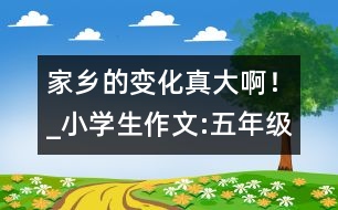 家鄉(xiāng)的變化真大??！_小學生作文:五年級