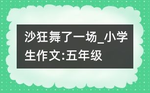 沙狂舞了一場(chǎng)_小學(xué)生作文:五年級(jí)