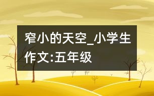 窄小的天空_小學(xué)生作文:五年級