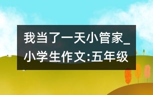 我當(dāng)了一天小管家_小學(xué)生作文:五年級