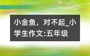 小金魚，對不起_小學生作文:五年級