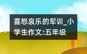 喜怒哀樂(lè)的軍訓(xùn)_小學(xué)生作文:五年級(jí)