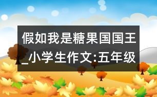 假如我是糖果國國王_小學(xué)生作文:五年級(jí)