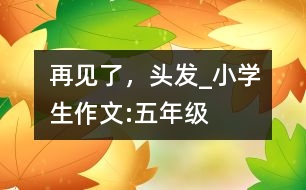 再見了，頭發(fā)_小學生作文:五年級
