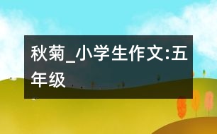 秋菊_小學生作文:五年級
