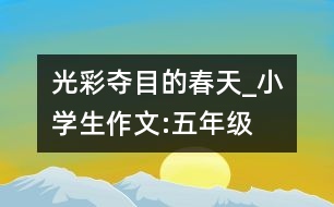 光彩奪目的春天_小學生作文:五年級