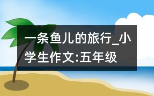 一條魚(yú)兒的旅行_小學(xué)生作文:五年級(jí)