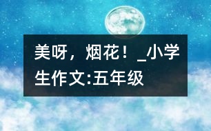 美呀，煙花！_小學(xué)生作文:五年級