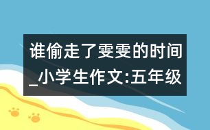 誰偷走了雯雯的時間_小學(xué)生作文:五年級