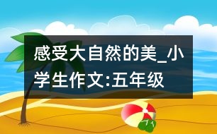 感受大自然的美_小學生作文:五年級