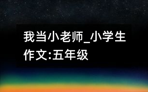 我當(dāng)小老師_小學(xué)生作文:五年級(jí)