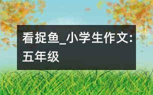 看捉魚_小學(xué)生作文:五年級(jí)