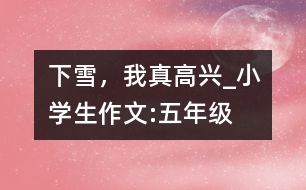 下雪，我真高興_小學(xué)生作文:五年級