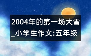 2004年的第一場大雪_小學(xué)生作文:五年級